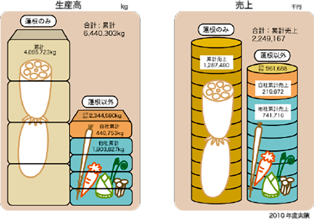 マルハ物産資料　れんこん生産・売上2010