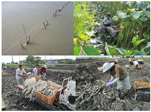 マルハ物産 マルハファーム