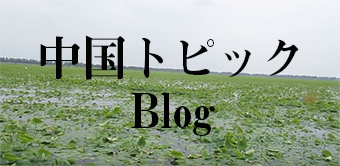 マルハ物産 中国ブログ