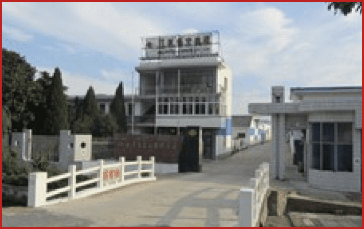 徳島（阿波れんこん）