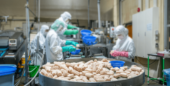 茨城（土浦れんこん）