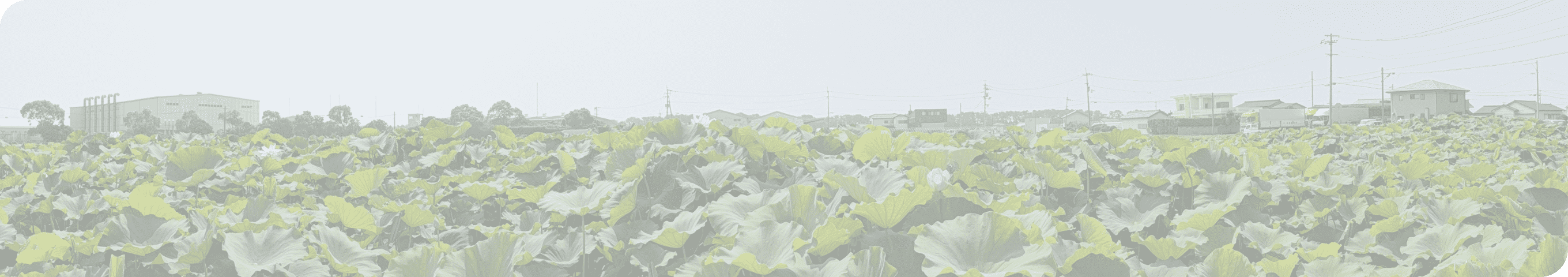 ホームページリニューアルのお知らせ