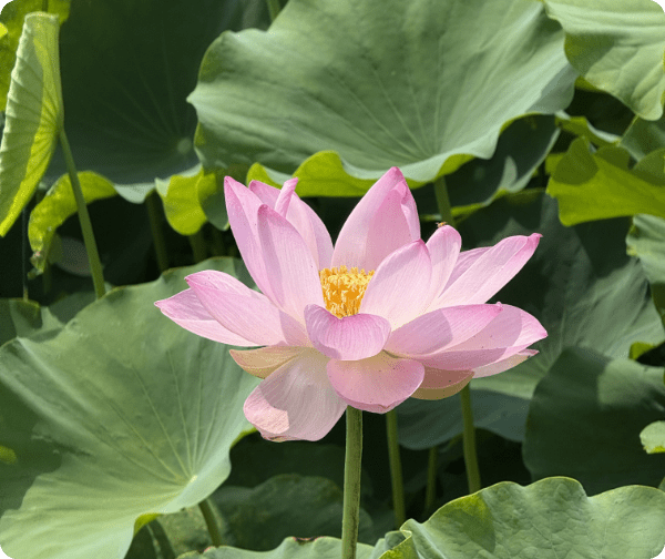 マルハ物産の取り組み