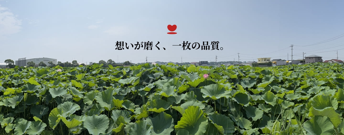 想いが磨く、一枚の品質。