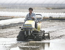 代かき<br>(3月~5月中旬)